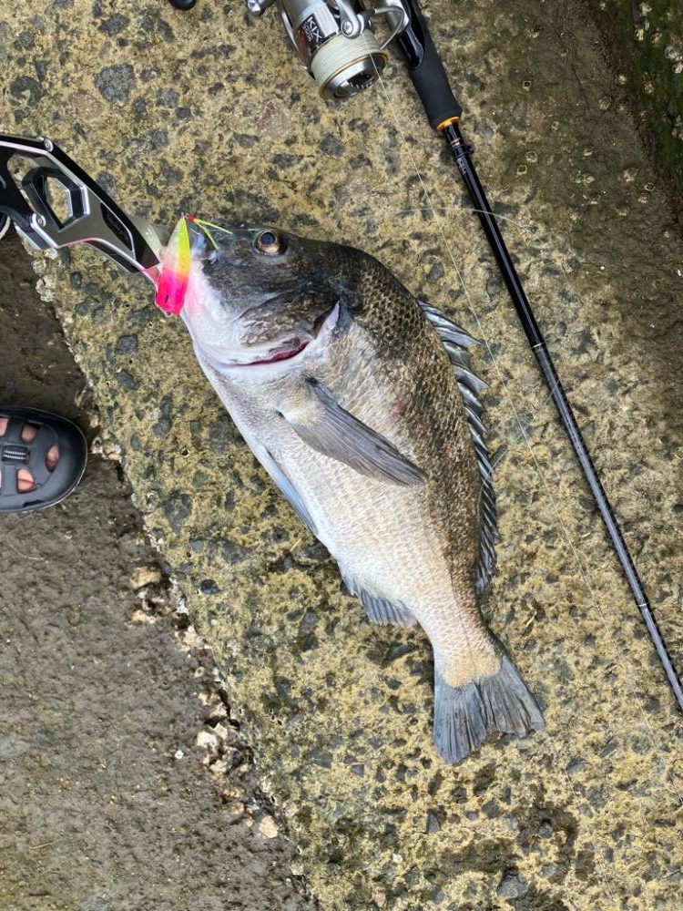 トップチニング