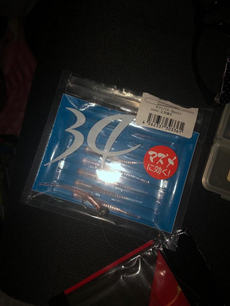 久しぶりの投稿