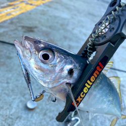 メタルマルゲーム