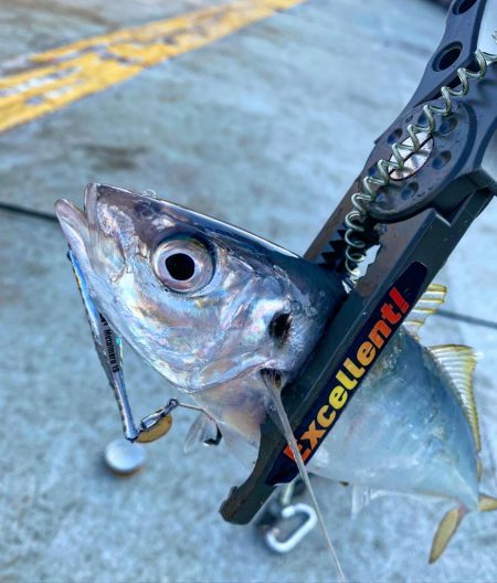 メタルマルゲーム