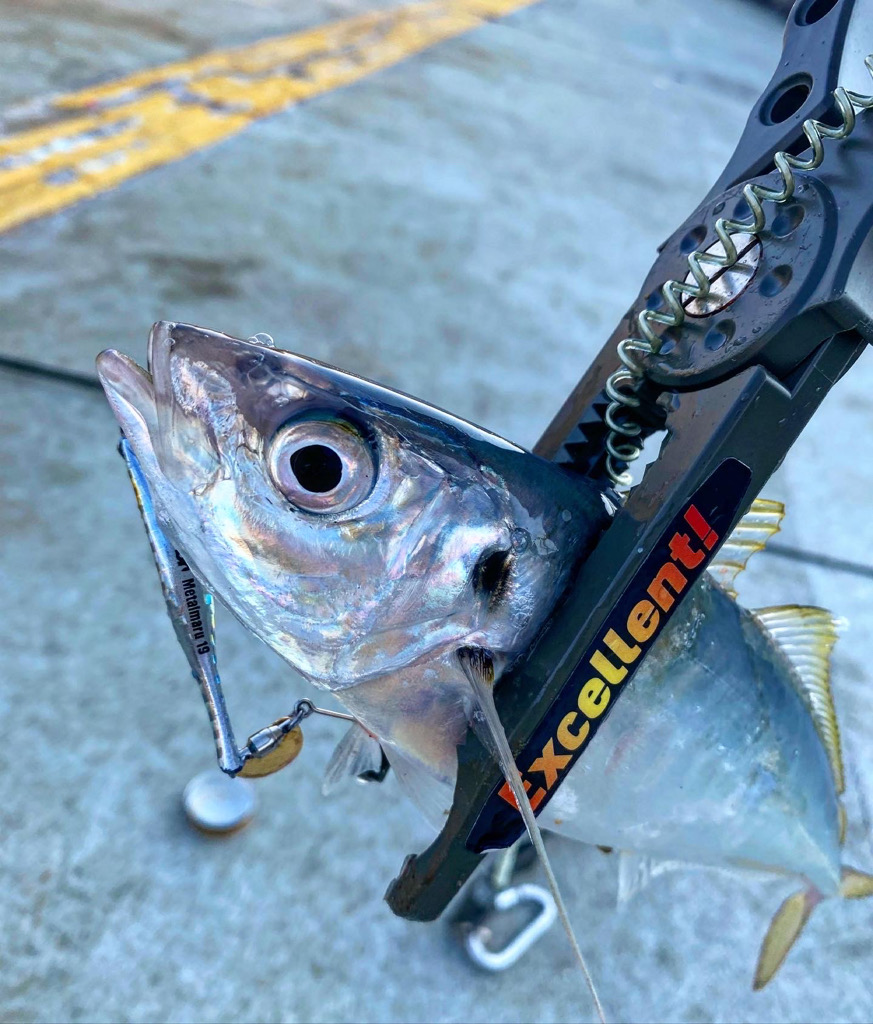 メタルマルゲーム