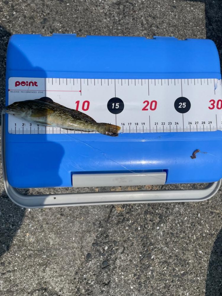 周防大島にて。