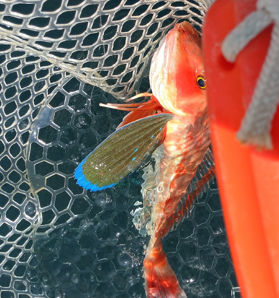 三重県レンタルボート