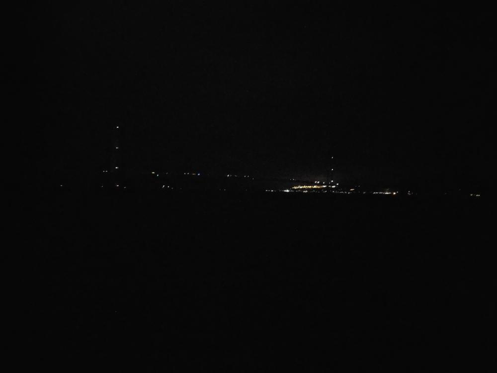 アオリイカ狙いで釣れたのは剣先イカ？