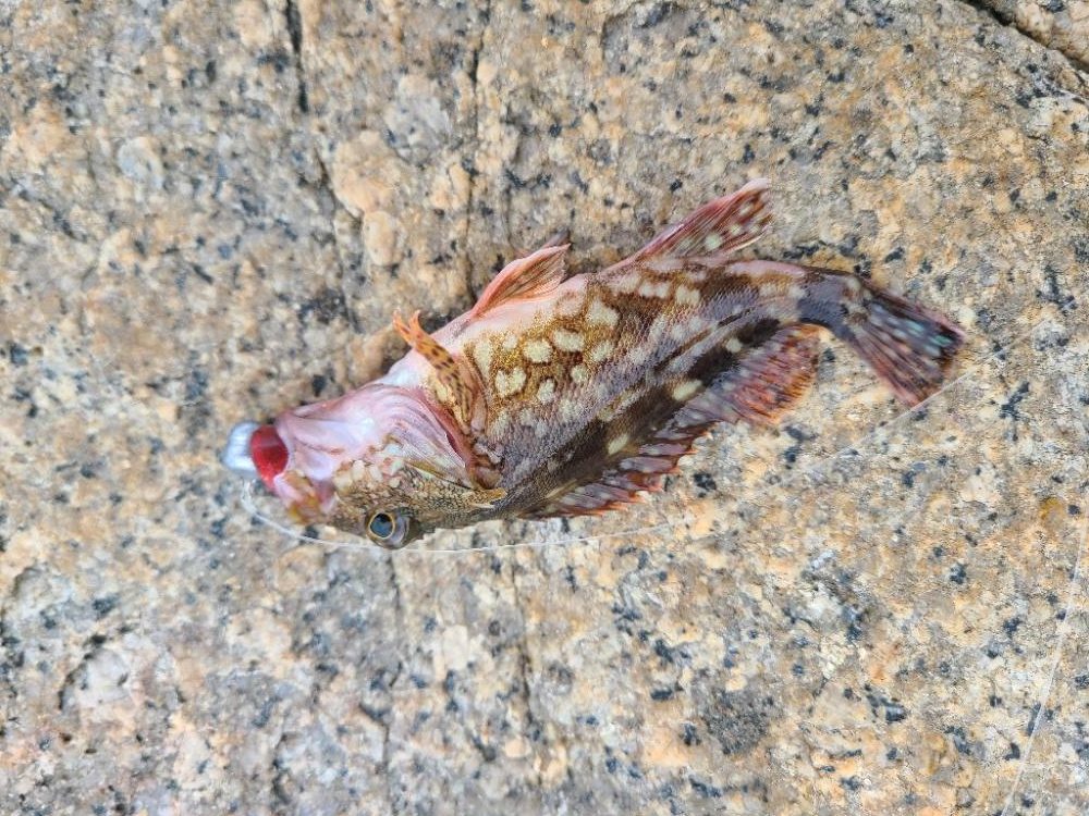 なかなか厳しい