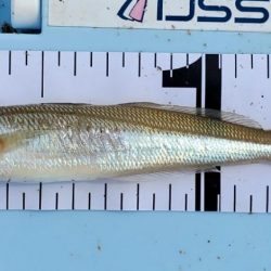 キス狙いのはずが…