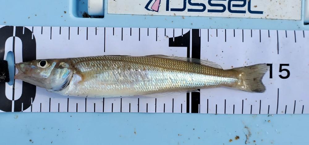 キス狙いのはずが…