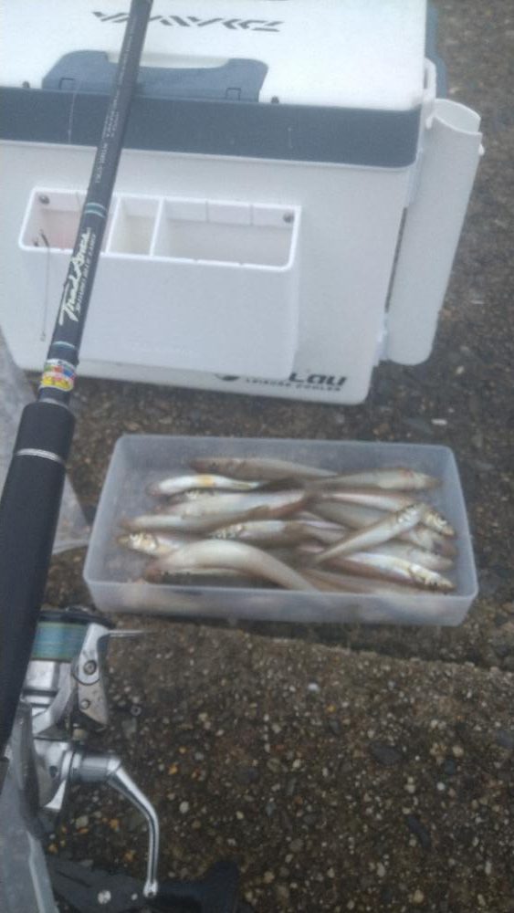 チョイ投げでキス釣り