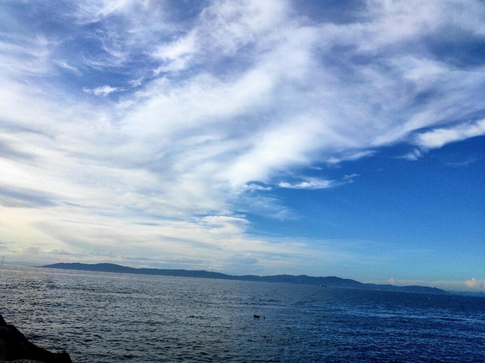 ショアからタコ2杯