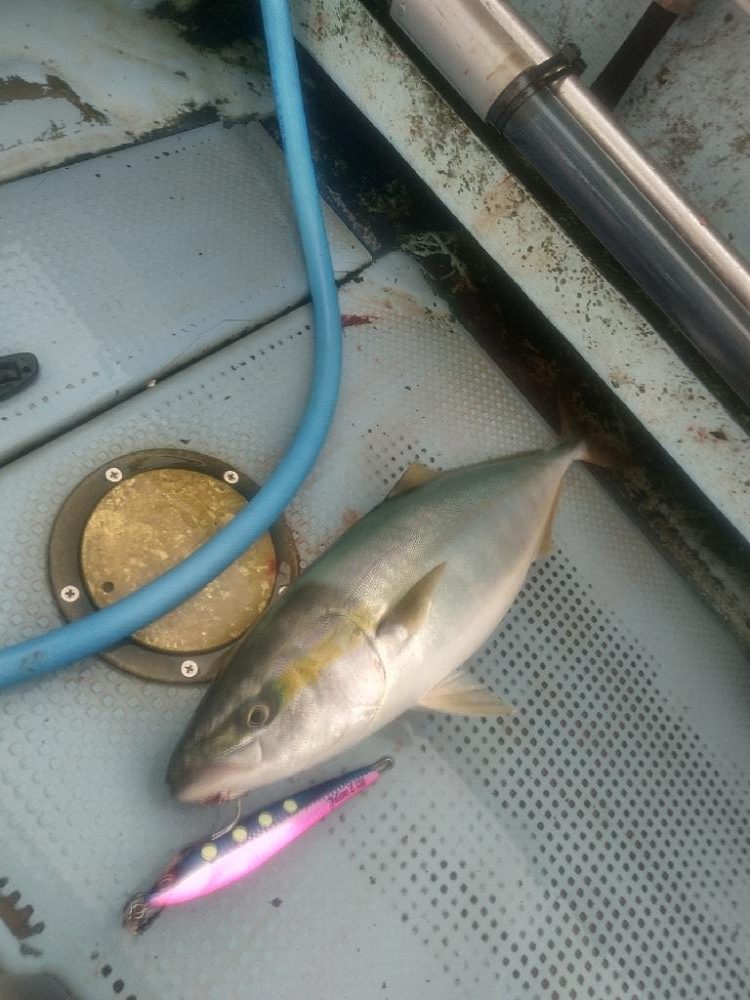 明石でジギング昼便で☆