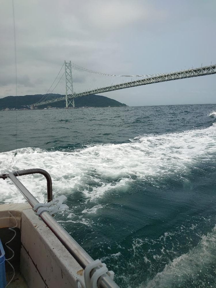 タコと青物狙い