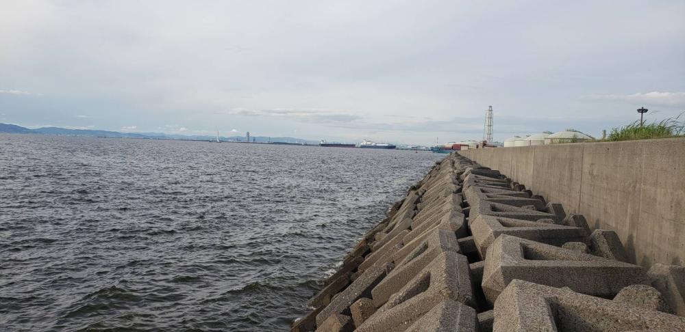 アジ探し@泉大津