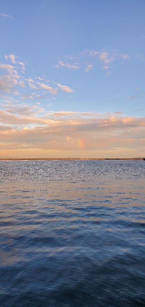 渋い渋い渋すぎる