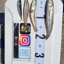 自己ベスト更新!