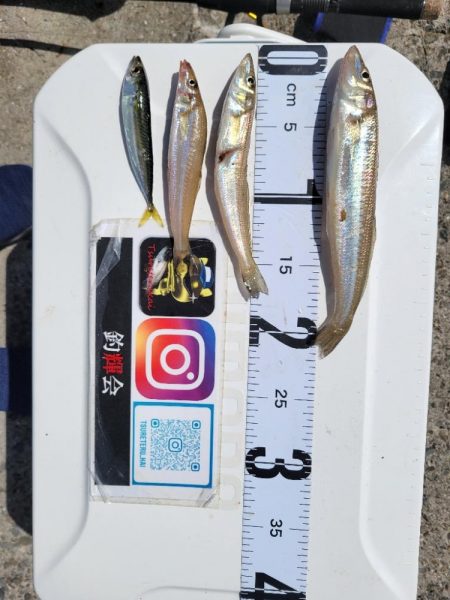 自己ベスト更新!