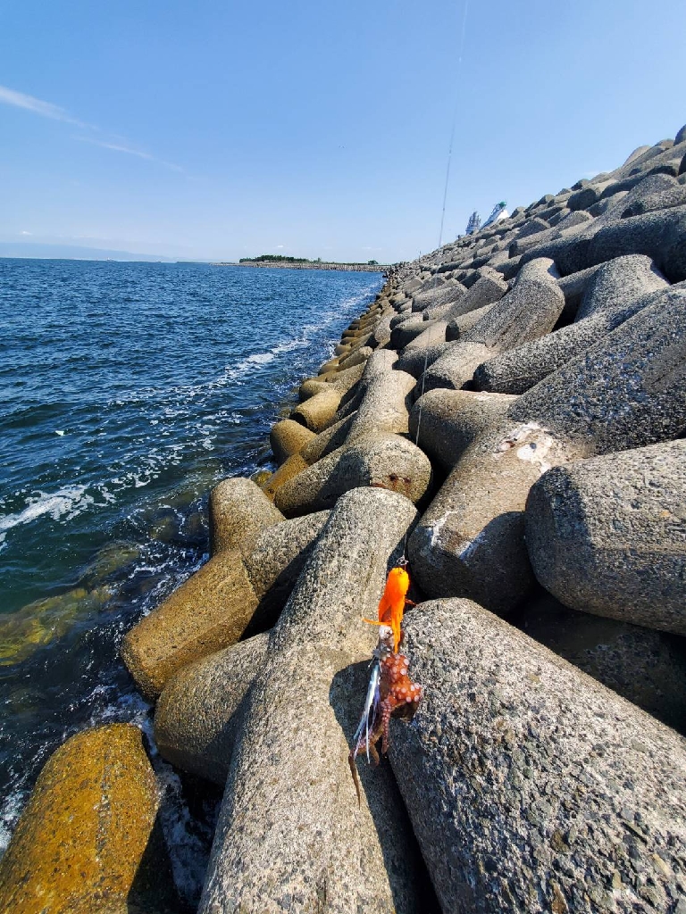 テトラ帯の方がマシみたい