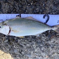 活性よかったよ