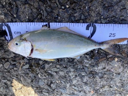 活性よかったよ