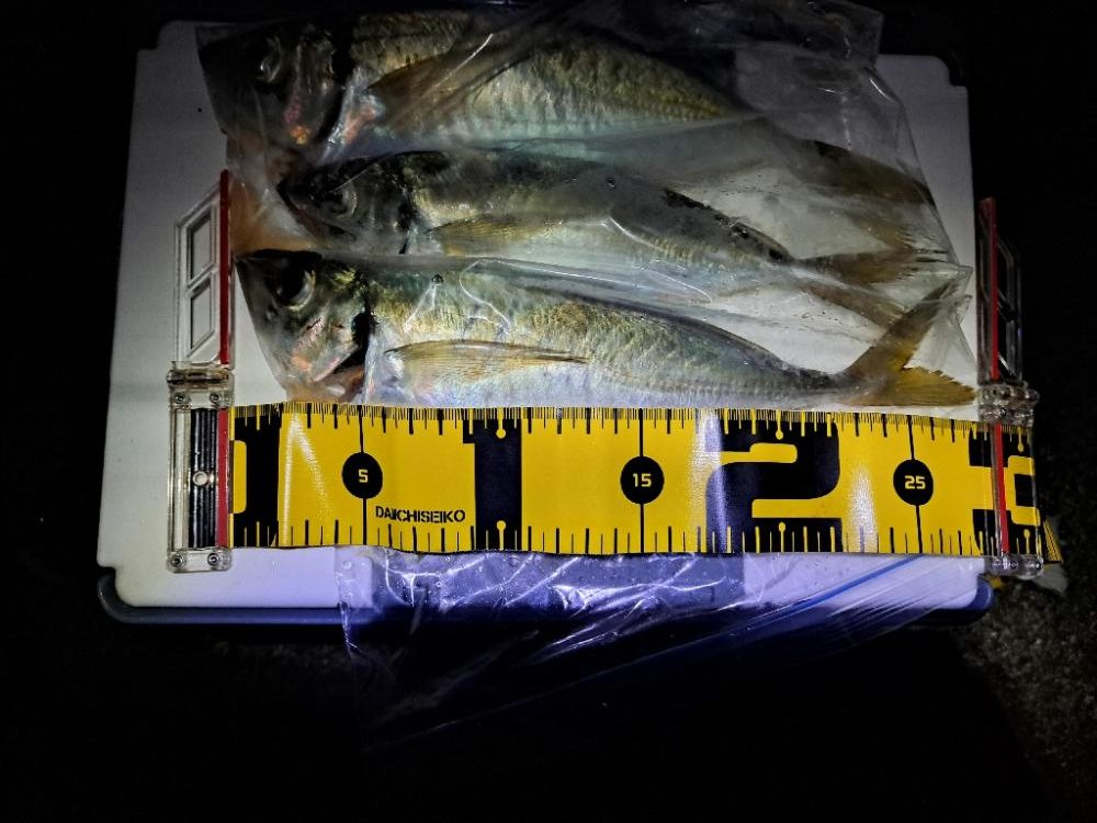 久し振りのアジング