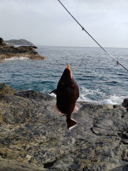 ナノラバ万能すぎ