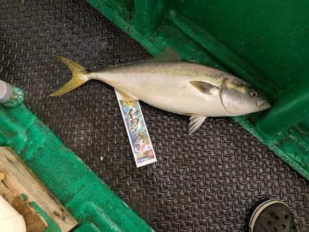 落とし込み(アンダーベイト)