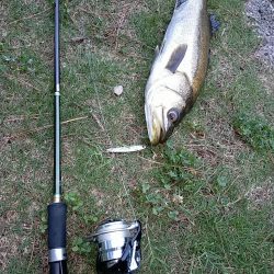 閑散とした夕マヅメに