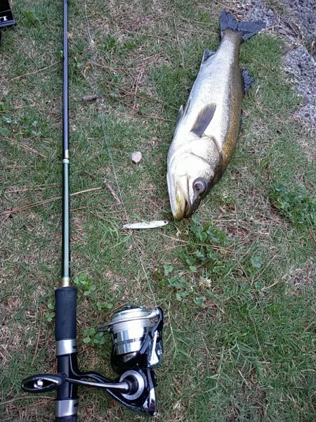 閑散とした夕マヅメに