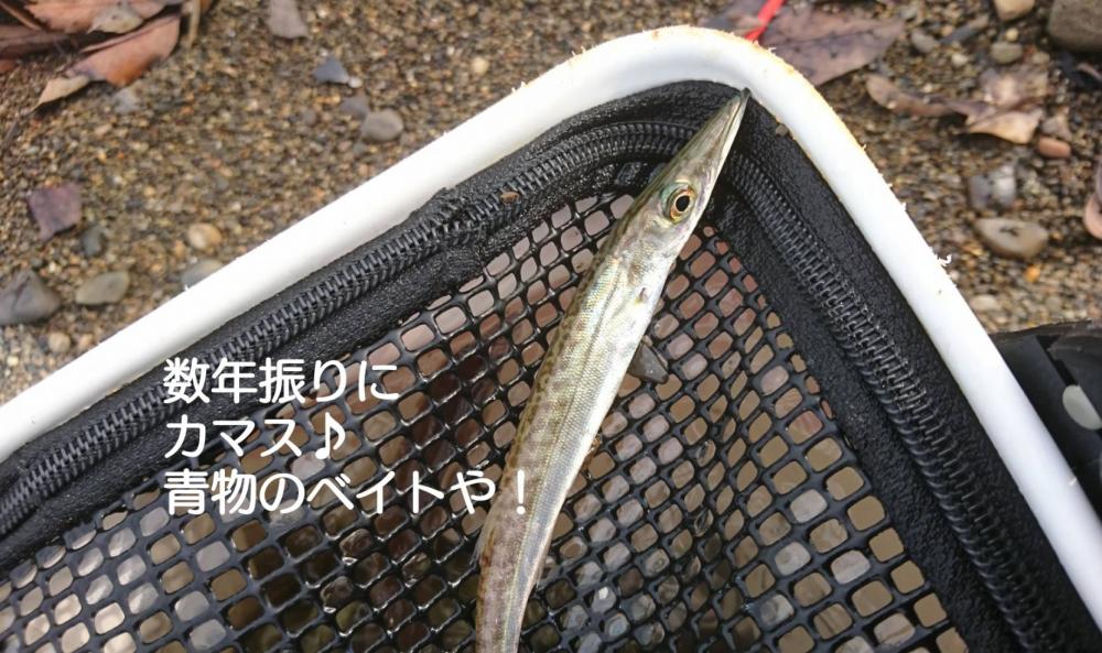 サーフでのんびりが豪雨に見舞われ…