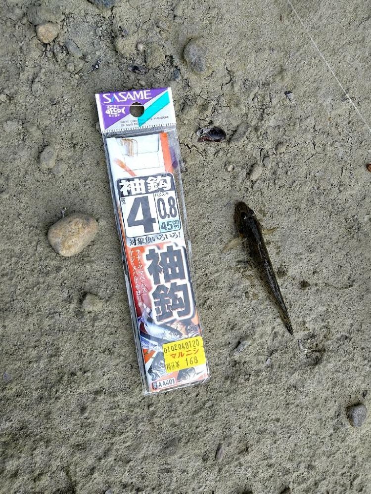 紀の川でハゼ釣り