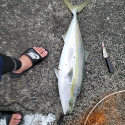 本当久しぶり‼️…