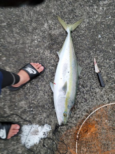 本当久しぶり‼️…