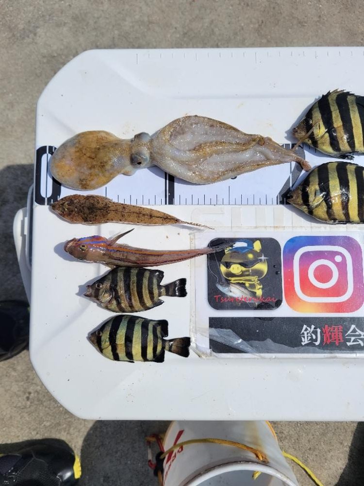 暑すぎて釣れる気がしない☀️😵💦