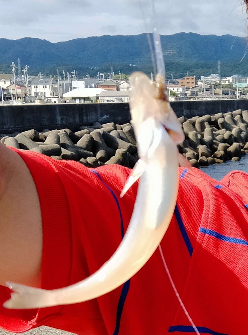 キス釣り
