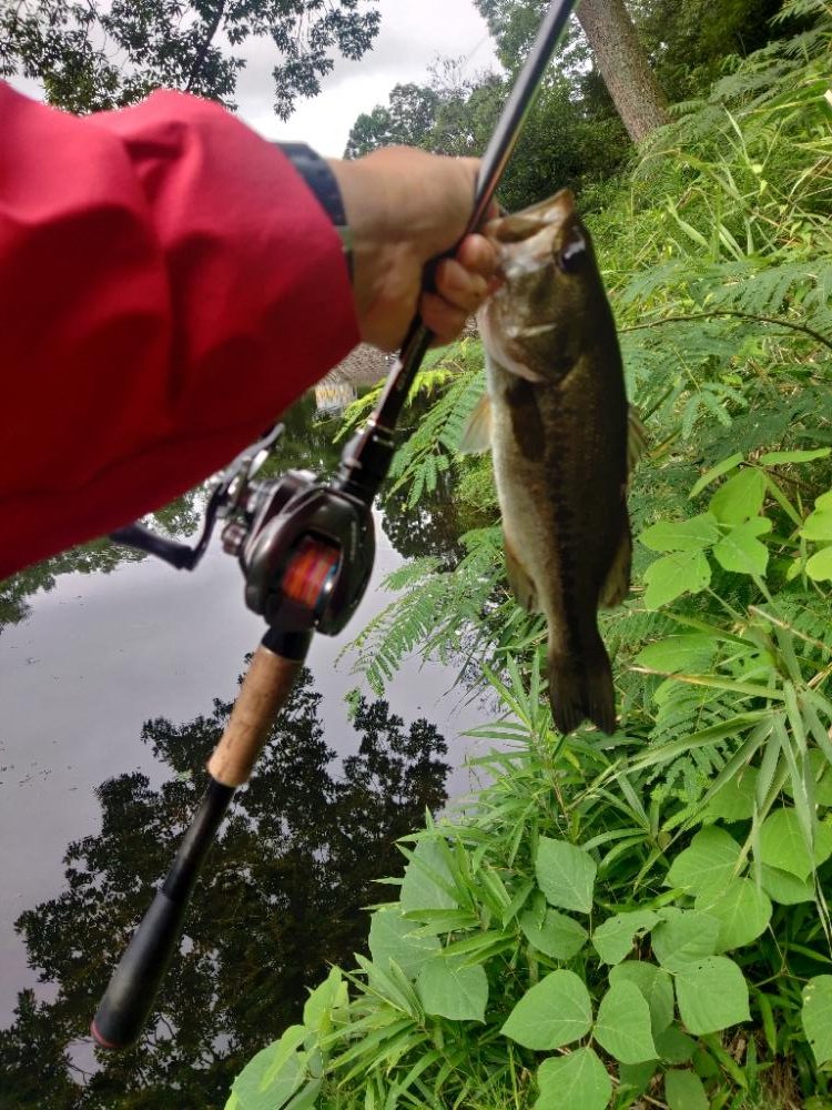 パンチショット