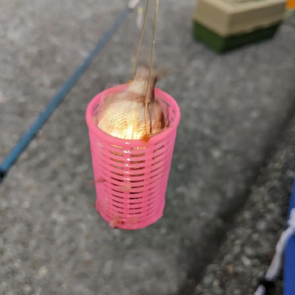 ファミリーサビキ