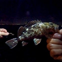 デッカサゴ！！！