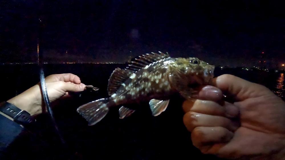 デッカサゴ！！！