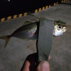 仕事終わりにいつもの場所で場所で