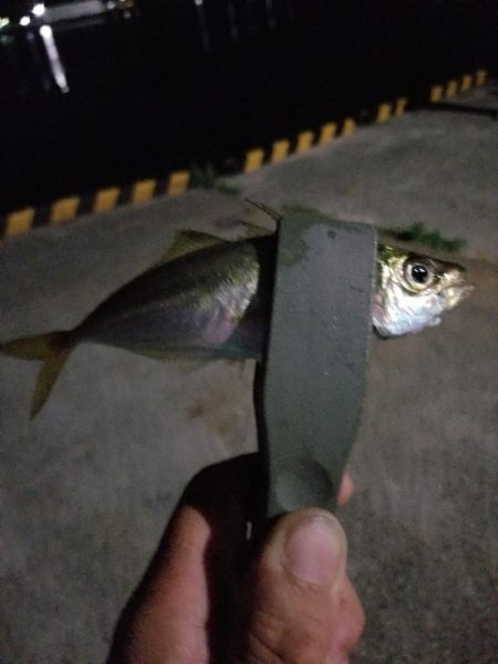 仕事終わりにいつもの場所で場所で