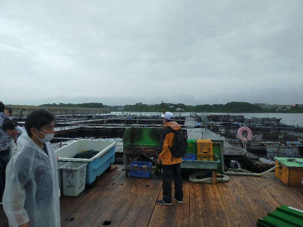 海上釣り堀　みうら海王