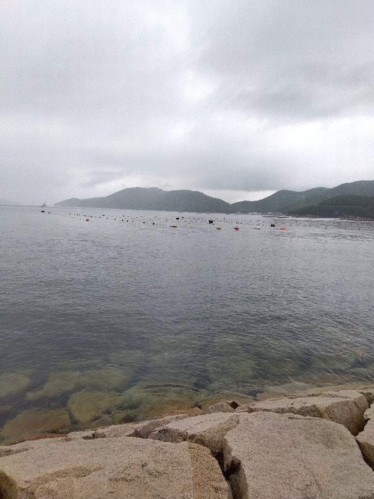 室津のキス釣り