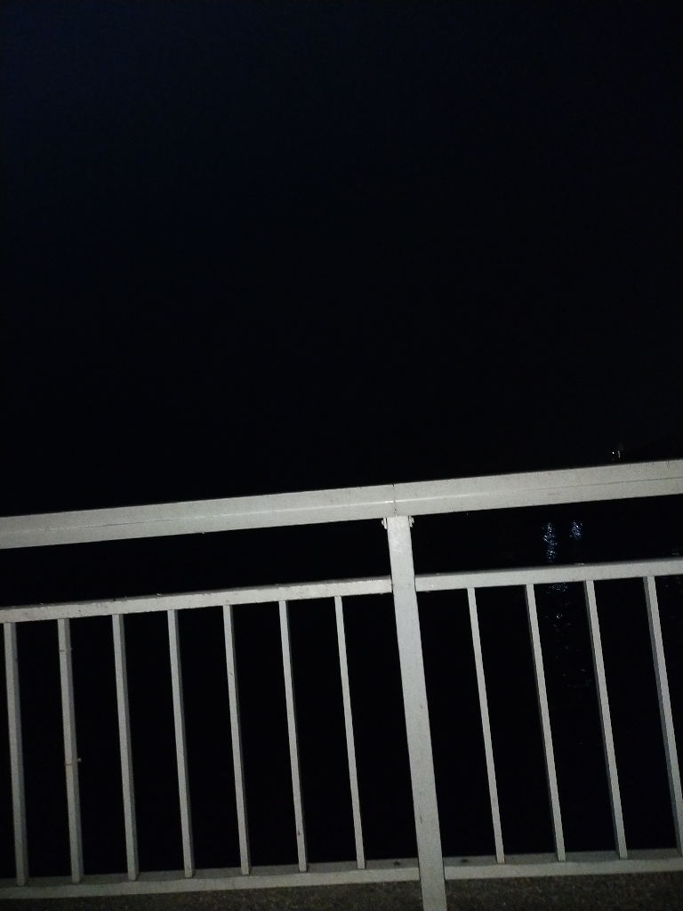 大サバ不発からの夏タチ