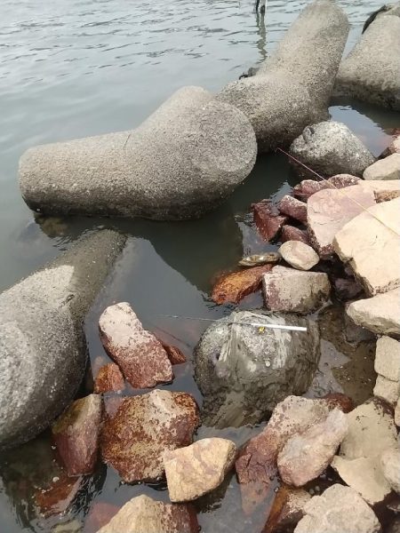 淀川えびリベンジ撃沈からのウロハゼ