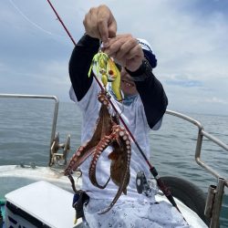 兵庫県明石沖！夏の風物詩！パルパルスッテでマダコゲーム