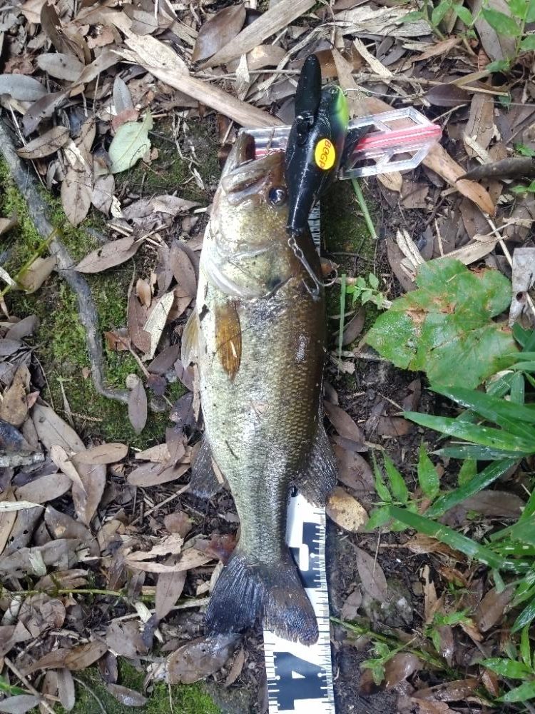 雨の朝は・・・