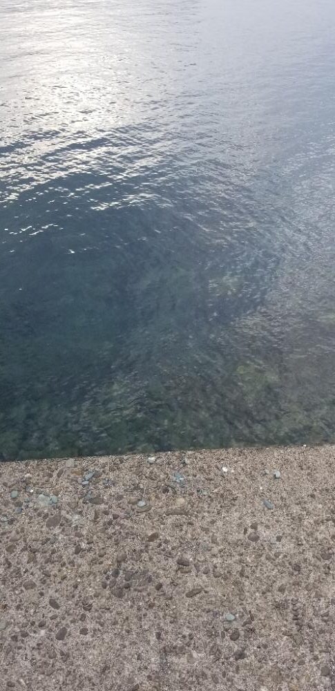 ルアーフィッシング