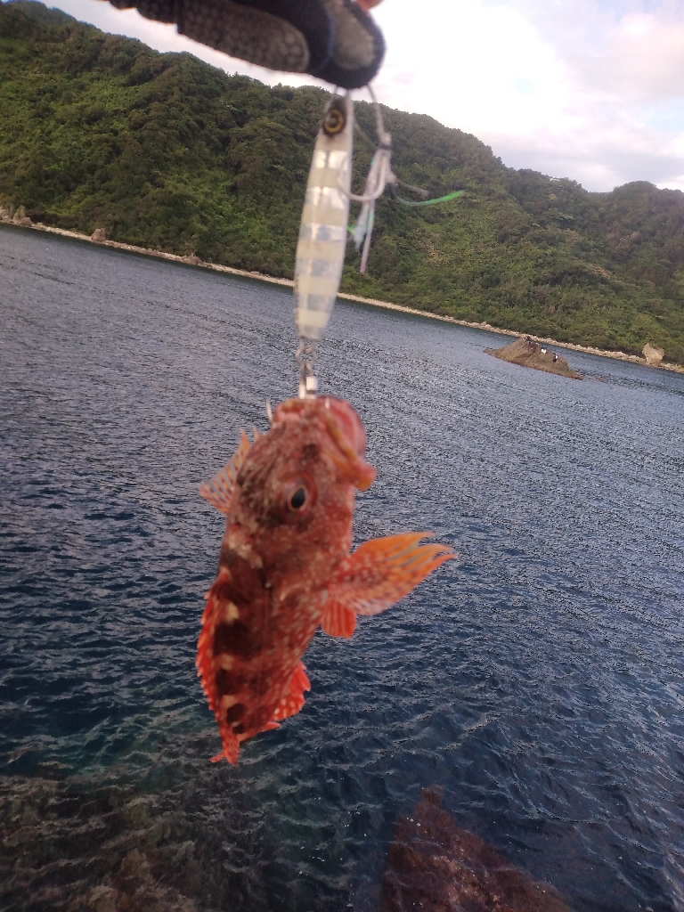 沖磯ショアジギング