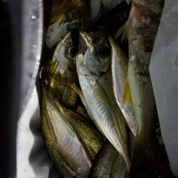 ムツムツムツ😊