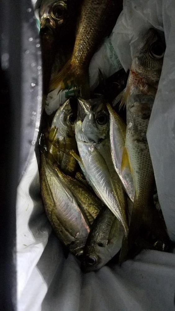 ムツムツムツ😊