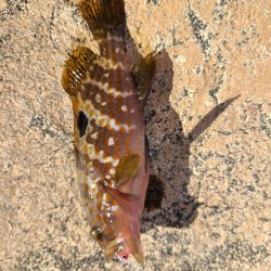 なかなか厳しい